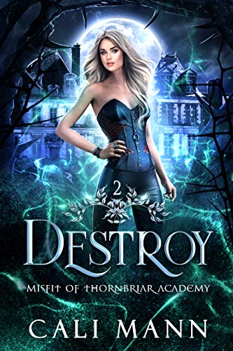 Destroy: A Why Choose Shifter Romance (Misfit of Thornbriar Academy Book 2)