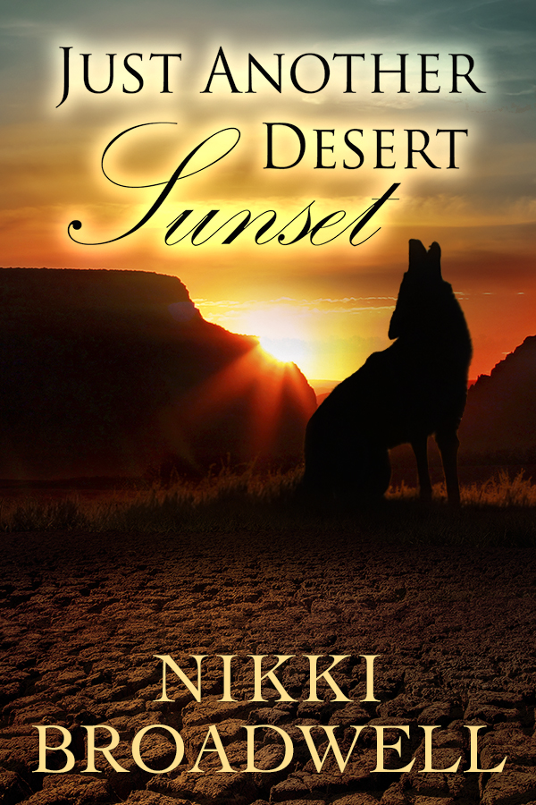 Just Another Desert Sunset