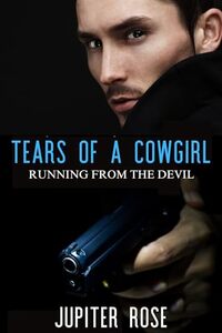 Tears of a Cowgirl: Running from the devil - a second chance romance