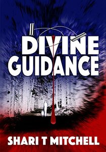 Divine Guidance: A Murder Mystery with a Paranormal Twist (Marnie Reilly Mysteries Book 1) - Published on Oct, 2014