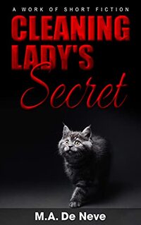 CLEANING LADY'S SECRET: A work of short Fiction