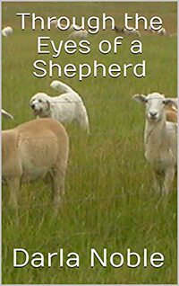 Through the Eyes of a Shepherd