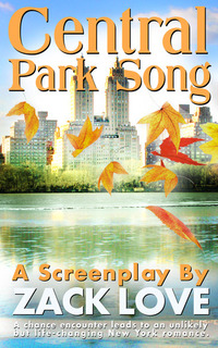 Central Park Song: An unexpected New York romance that changes everything...