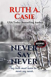 Never Say Never (Havenport Romance)