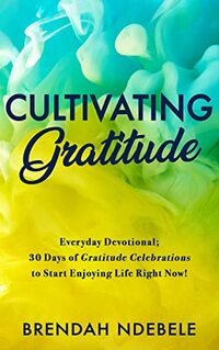 Cultivating Gratitude - Everyday Devotional : 30 Days of Gratitude Celebrations to Start Enjoying Life Right Now! (Stepping Stones to self care)