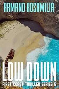 Low Down (First Coast Thriller Series Book 6)