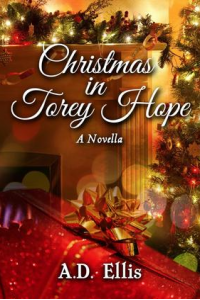 Christmas in Torey Hope, A Novella