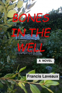 BONES IN THE WELL