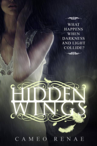 Hidden Wings (Hidden Wings Series #1)