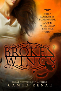 Broken Wings (Hidden Wings Series Book #2)