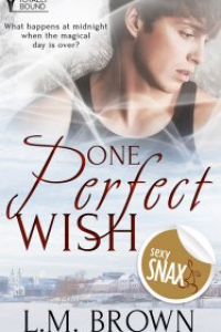 One Perfect Wish