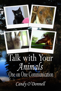 Talk With Your Animals: One on One Communication