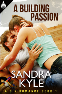 A Building Passion (A DIY Romance, #1)