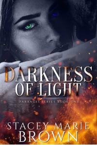 Darkness Of Light (Darkness Series Book 1)