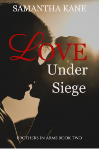 Love Under Siege (Brothers in Arms Book 2)