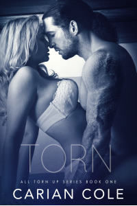 Torn (Devils Wolves Book 1)