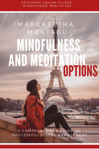 Mindfulness and Meditation Options: Featuring Equine-guided Mindfulness Meditation - Published on Dec, 2016