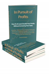 In Pursuit Of Profits: How To At Least Double Your Profits Without Increasing Your Sales