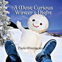 A Most Curious Winter's Night