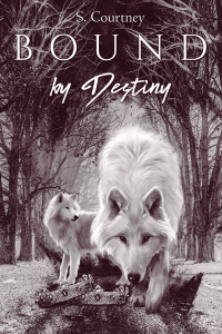 Bound by Destiny - Published on Jul, 2020