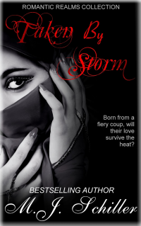 Taken by Storm (Romantic Realms Collection, #1)