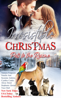 IRRESISTIBLE CHRISTMAS - PETS TO THE RESCUE (Irresistible Romance Book 6)