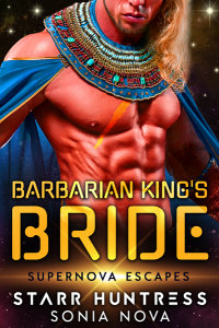 Barbarian King's Bride