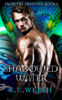 Shadowed Water - Published on Jun, 2021