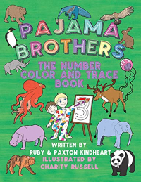 Pajama Brothers: The Number Color and Trace Book