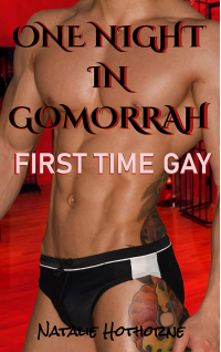 One Night In Gomorrah