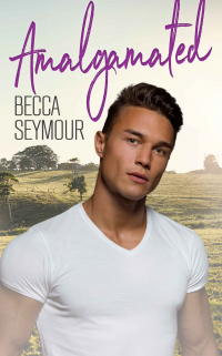 Becca Seymour, Author, Books, Series, Interview, Deals, Newsletter, Contact, Site