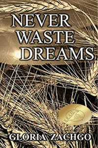 Never Waste Dreams - Published on Aug, 2021
