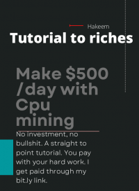 $500/day no investment