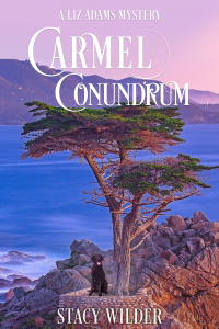 Carmel Conundrum - Published on Dec, 2022