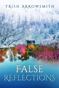 False Reflections - Published on Oct, 2022