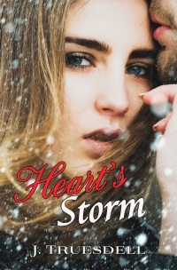 Heart's Storm (Forever Safe Christmas II Book 17)