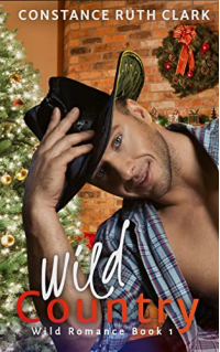 Wild Country: A Springfield Small Town Romance (Lexington Steele Hearts Book 1)