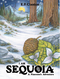 I Am Sequoia - A Pinecone's Adventure