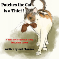 Patches The Cat is a Thief !