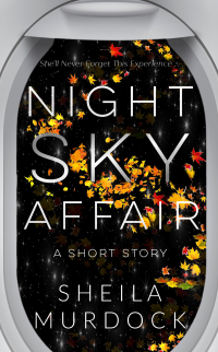 Night Sky Affair: Cynthia: A Contemporary Black African American Rekindled Romance Suspense Urban Fiction Short Reads Story