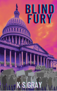 Blind Fury (Color Blinded, Blind Sided, Blind Fury contemporary fiction trilogy)