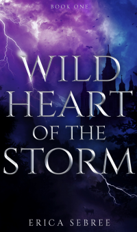 Wild Heart of the Storm: A Medieval, Celtic Fantasy