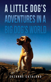 A Little Dogâ€™s Adventures in a Big Dogâ€™s World