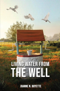 Living Water from the Well