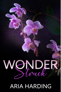 Wonderstruck Paperback