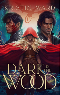 Dark is the Wood: A Young Adult Fantasy Romance