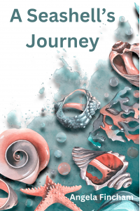 A Seashell's Journey