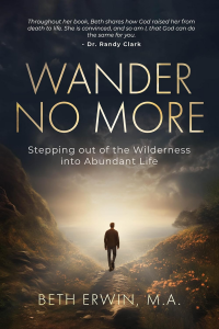 Wander No More: Stepping out of the Wilderness into Abundant Life