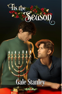 'Tis the Season (Passages 1): A Contemporary Hanukkah Romance - Published on Dec, 2023