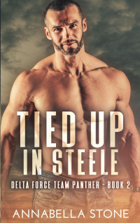 Tied Up In Steele (Delta Force Team Panther Book 2)